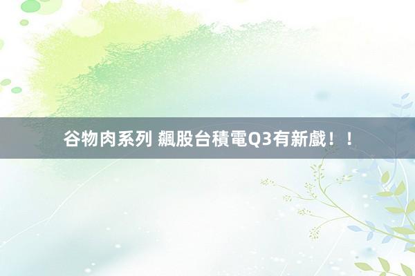 谷物肉系列 飆股台積電Q3有新戲!!