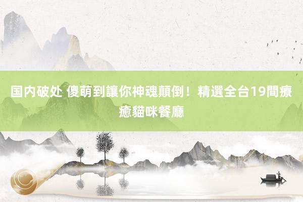 国内破处 傻萌到讓你神魂顛倒！精選全台19間療癒貓咪餐廳