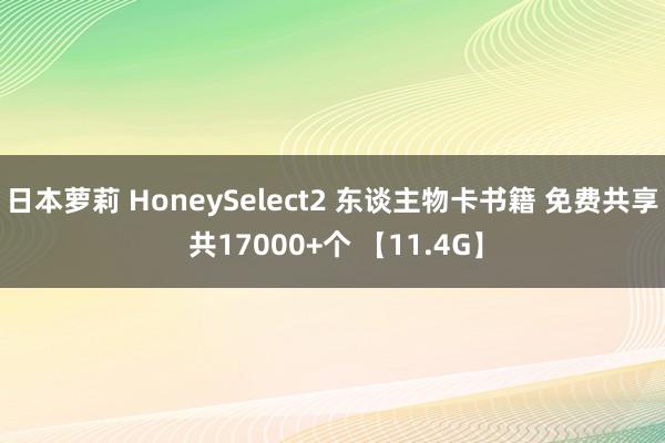 日本萝莉 HoneySelect2 东谈主物卡书籍 免费共享 共17000+个 【11.4G】