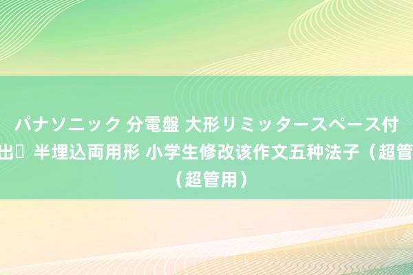 パナソニック 分電盤 大形リミッタースペース付 露出・半埋込両用形 小学生修改该作文五种法子（超管用）