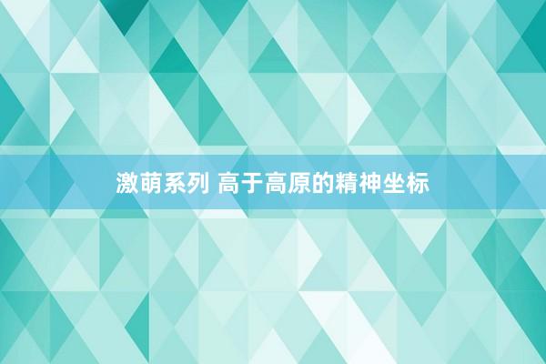 激萌系列 高于高原的精神坐标