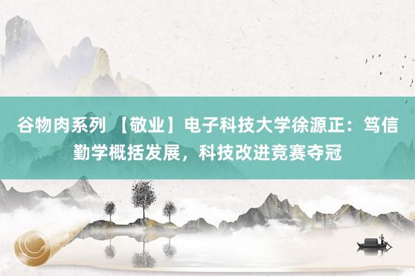 谷物肉系列 【敬业】电子科技大学徐源正：笃信勤学概括发展，科技改进竞赛夺冠