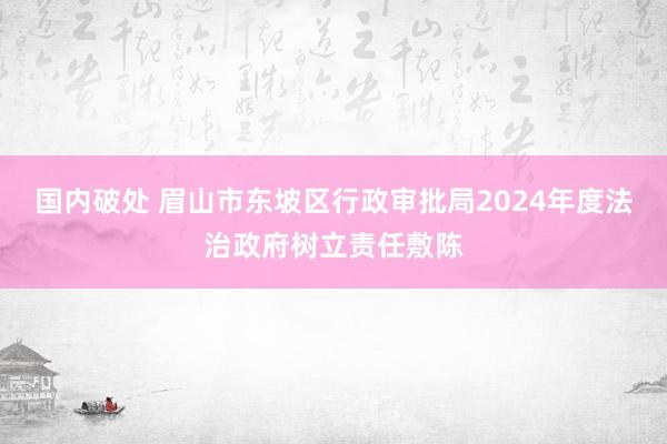国内破处 眉山市东坡区行政审批局2024年度法治政府树立责任敷陈