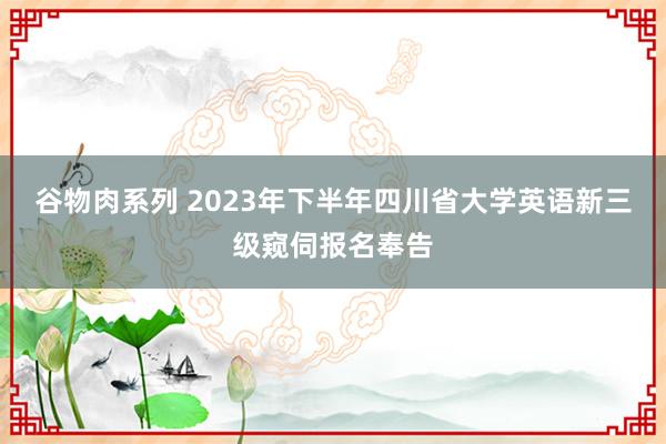 谷物肉系列 2023年下半年四川省大学英语新三级窥伺报名奉告