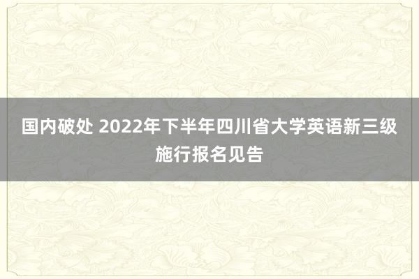 国内破处 2022年下半年四川省大学英语新三级施行报名见告