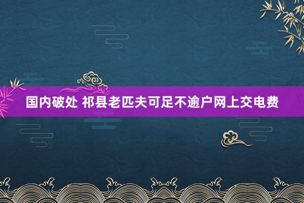 国内破处 祁县老匹夫可足不逾户网上交电费