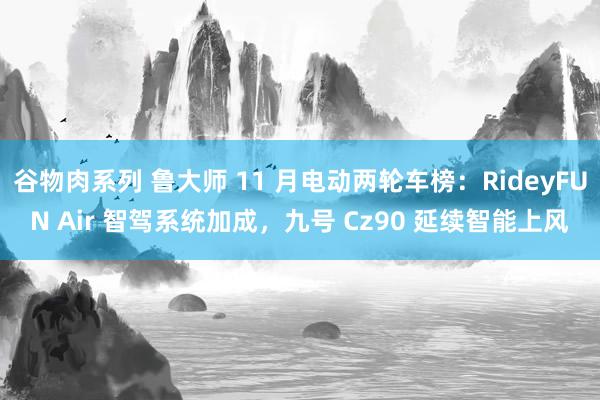 谷物肉系列 鲁大师 11 月电动两轮车榜：RideyFUN Air 智驾系统加成，九号 Cz90 延续智能上风