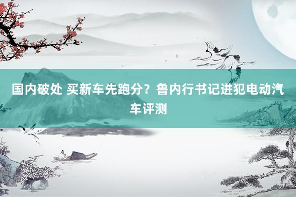 国内破处 买新车先跑分？鲁内行书记进犯电动汽车评测