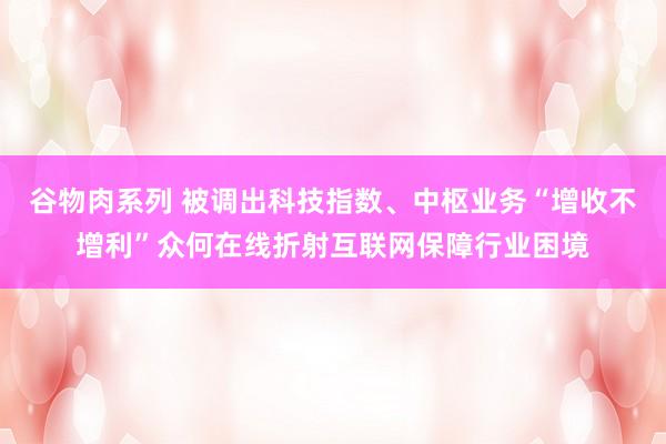 谷物肉系列 被调出科技指数、中枢业务“增收不增利”众何在线折射互联网保障行业困境
