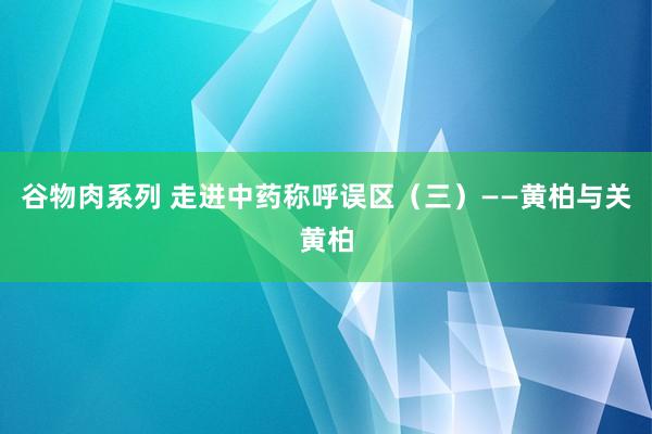 谷物肉系列 走进中药称呼误区（三）——黄柏与关黄柏