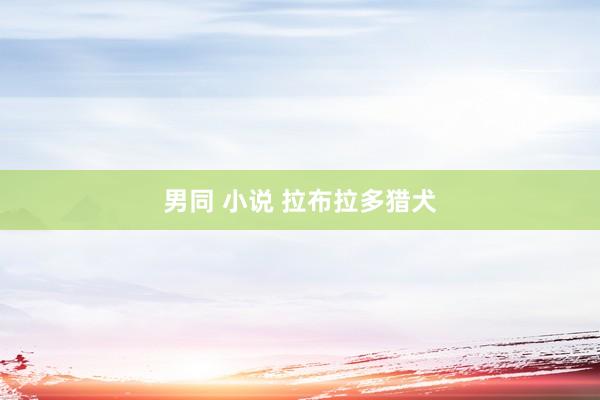 男同 小说 拉布拉多猎犬