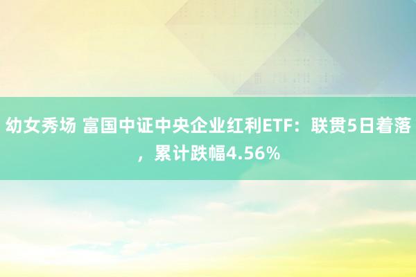 幼女秀场 富国中证中央企业红利ETF：联贯5日着落，累计跌幅4.56%