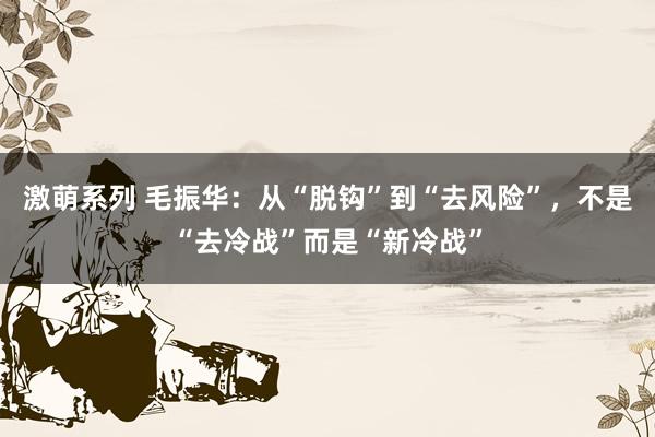 激萌系列 毛振华：从“脱钩”到“去风险”，不是“去冷战”而是“新冷战”