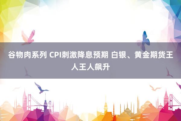 谷物肉系列 CPI刺激降息预期 白银、黄金期货王人王人飙升