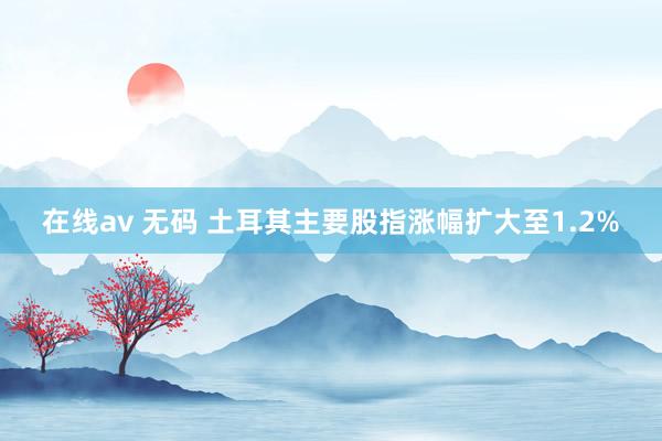 在线av 无码 土耳其主要股指涨幅扩大至1.2%