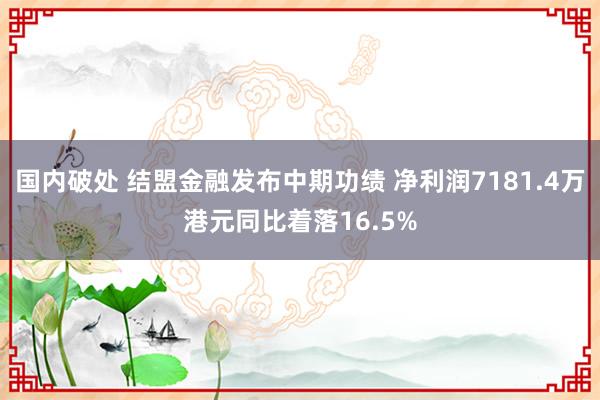 国内破处 结盟金融发布中期功绩 净利润7181.4万港元同比着落16.5%