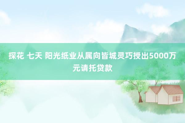 探花 七天 阳光纸业从属向皆城灵巧授出5000万元请托贷款