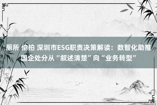 厕所 偷拍 深圳市ESG职责决策解读：数智化助推国企处分从“叙述清楚”向“业务转型”