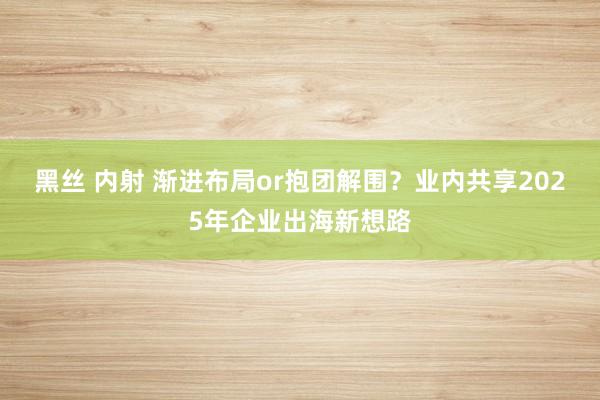 黑丝 内射 渐进布局or抱团解围？业内共享2025年企业出海新想路